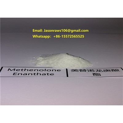 Metenolon   Enanthate