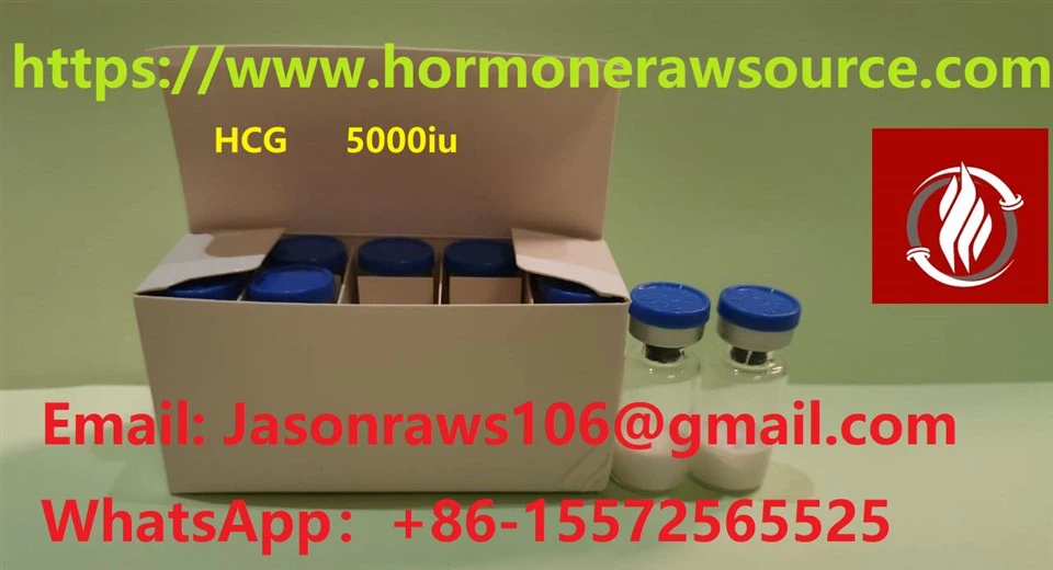 HCG (humani horionski gonadotropin) 5000iu za bodybuilding cas: 9002-61-3