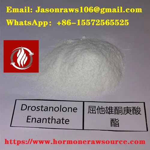 Drostanolon enanthate sirovi materijal u prahu za bodybuilding CAS: 13425-31-5