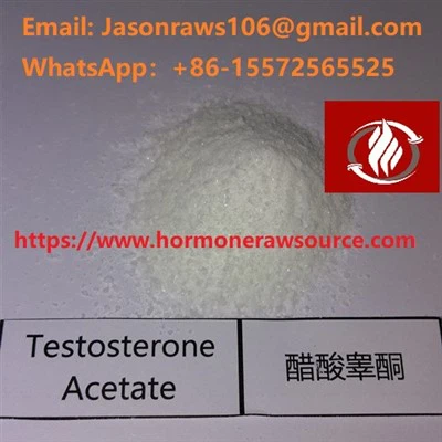 Testosteron acetat u prahu za bodybuilding CAS:1045-69-8