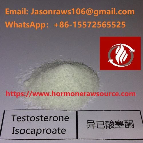 Testosteron izokaproat steroidni prašak bodybuilding cas: 15262-86-9