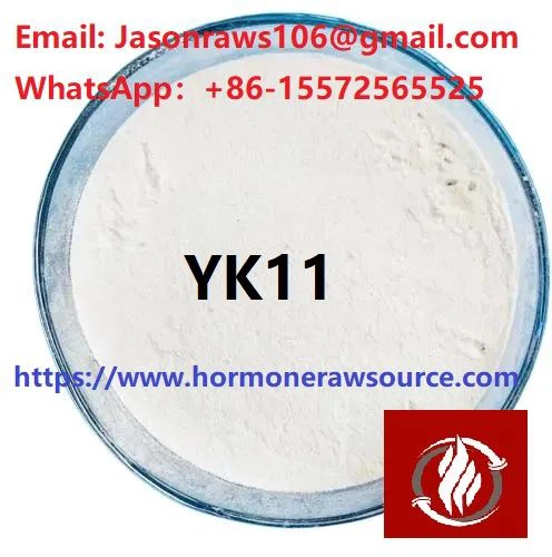 YK-11 (miostin) SARMS prah za bodybuilding cas: 1370003-76-1